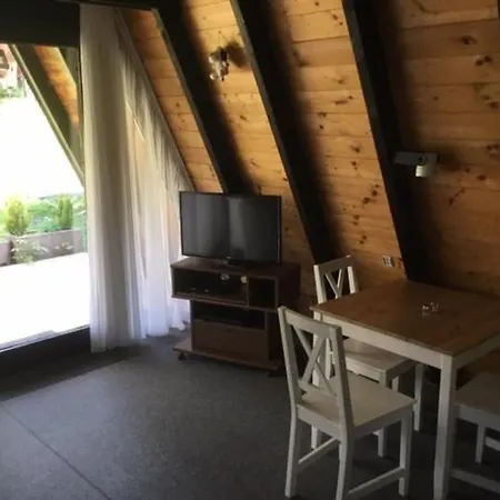 Gemuetliches Mit Sonniger Terrasse Frankenwald Naehe Badesee Smart-tv Tatil Evi