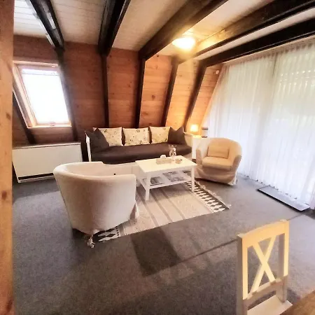 Gemuetliches Mit Sonniger Terrasse Frankenwald Naehe Badesee Smart-tv Holiday home