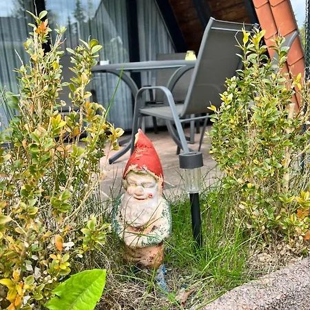 Gemuetliches Mit Sonniger Terrasse Frankenwald Naehe Badesee Smart-tv